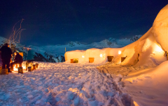 Blacksheep Igloo